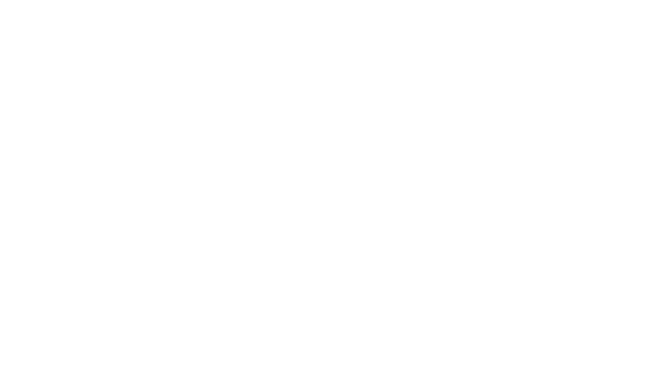 Michelin logo in white