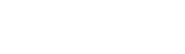 The Motorola logo in white