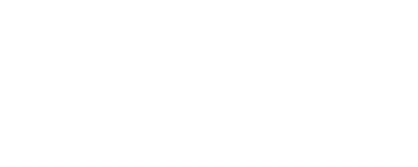 The Arch Capital Logo in white